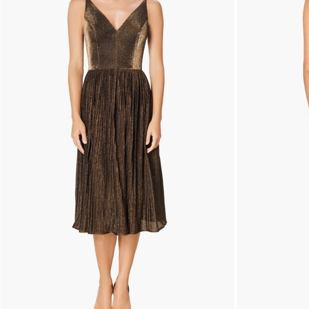 Dress the Population Gold and Black Midi Dress